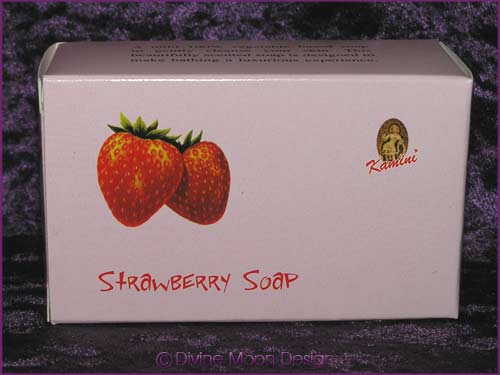 Kamini Aromatics 100gm SOAP boxed bar - STRAWBERRY